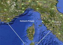 Foto di una cartina del santuario Pelagos - Progetto Pelagos