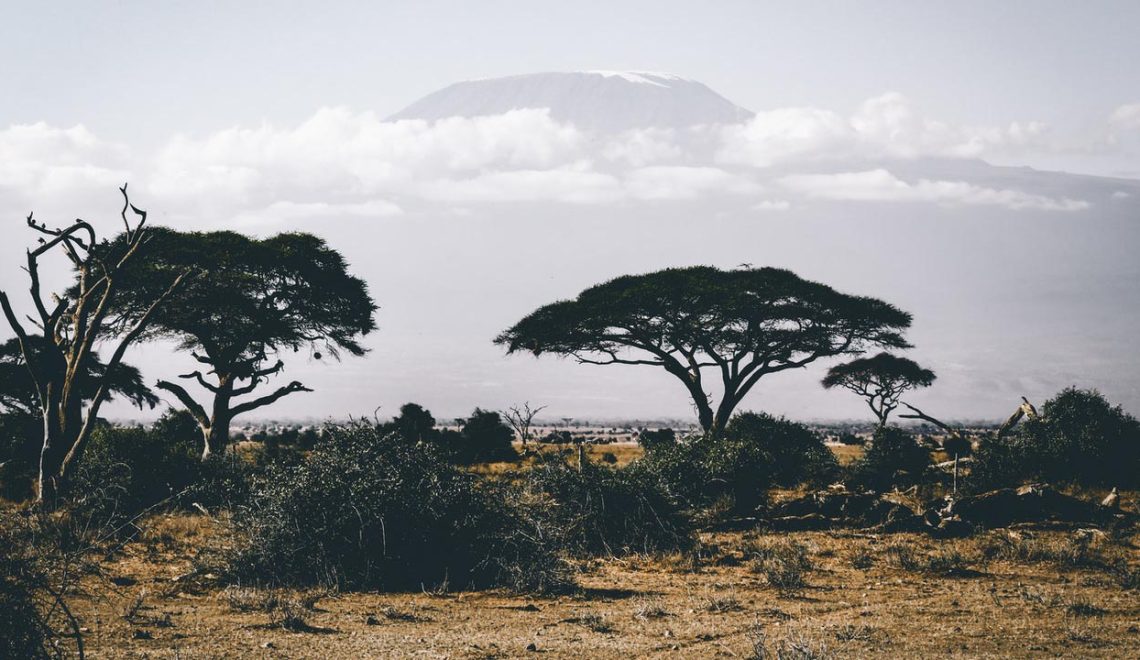 Foto dell'africa - Più terra meno fame