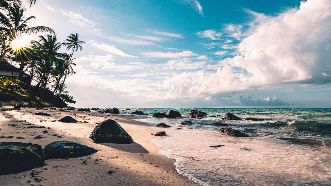 riva del mare con palme - Giornata mondiale dei tropici AERA