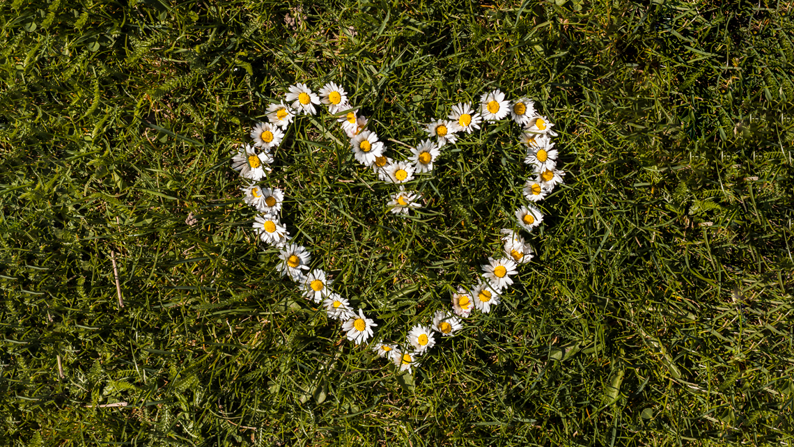 San Valentinoo sostenibile - AERA
