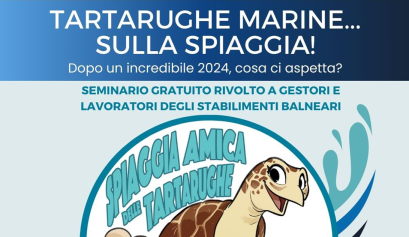 Tartarughe marine… sulla spiaggia!