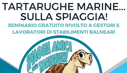 Tartarughe marine… sulla spiaggia!