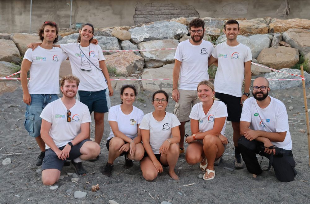 Gallery Nidificazione Tartaruga Caretta caretta