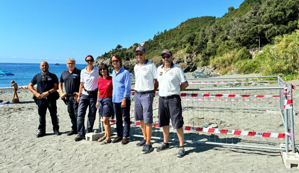 Gallery Nidificazione Tartaruga Caretta caretta